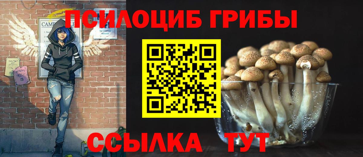 Галлюциногенные грибы прущие грибы Якутск