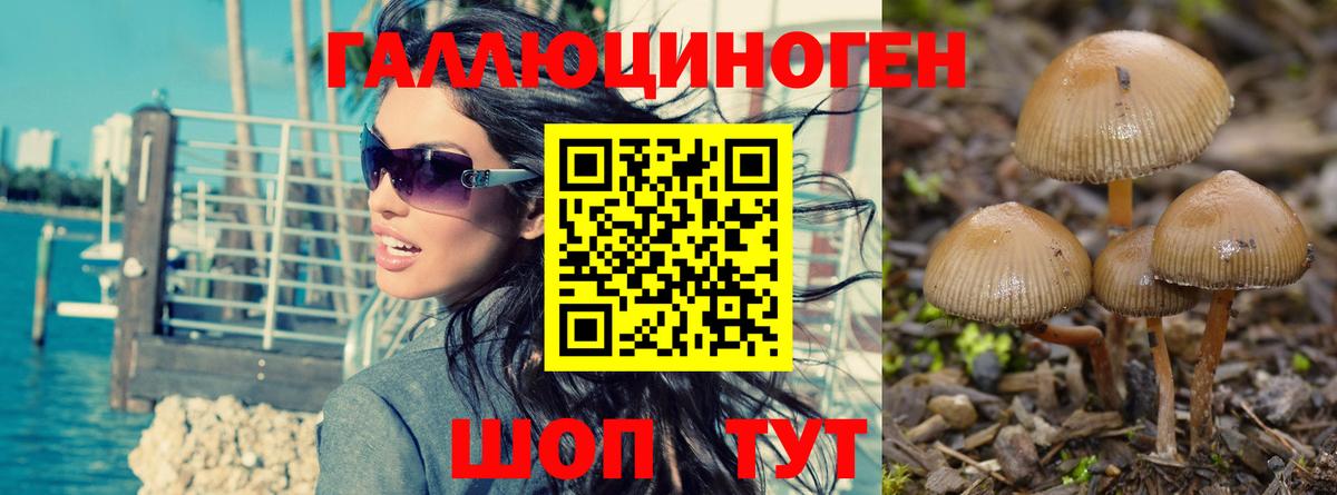 Галлюциногенные грибы мухоморы  Вход с VPN  Якутск 